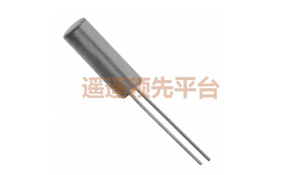 CA-301 20.0000M-C:PBFREE,CA-301Բ㶫,ʯӢ㶫,㶫,3X8mm㶫